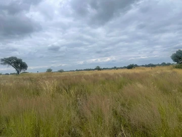 Farm & Agricultural Land