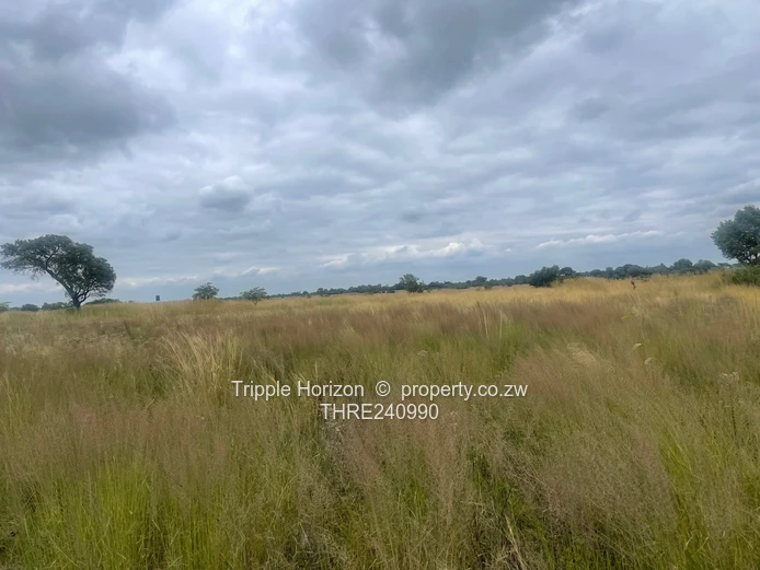 18,000m² Norton Farm — Orchard, Grazing & Main Access