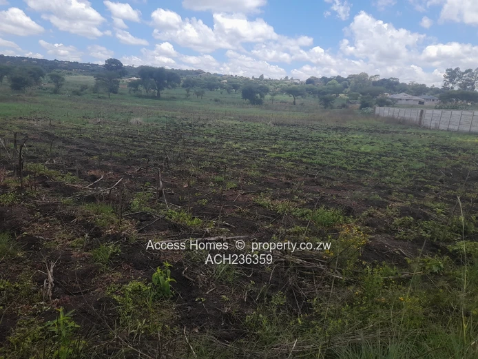 Crowhill Phase 1 Near Primary School 