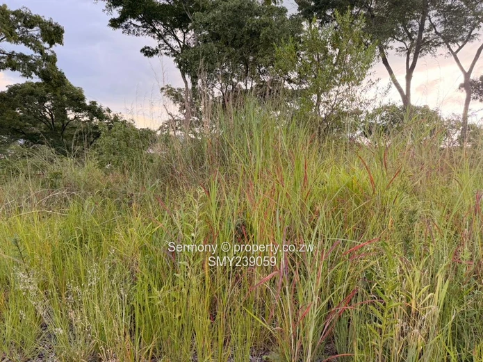 Prime Carrick Creagh Estate Stands For sale