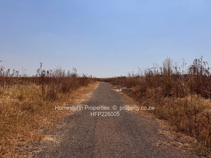 Nyeredzi Ridge Stand for Sale (Sole Mandate)