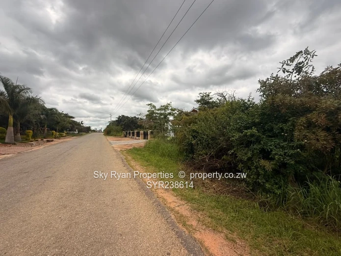 Arlington Stand For Sale