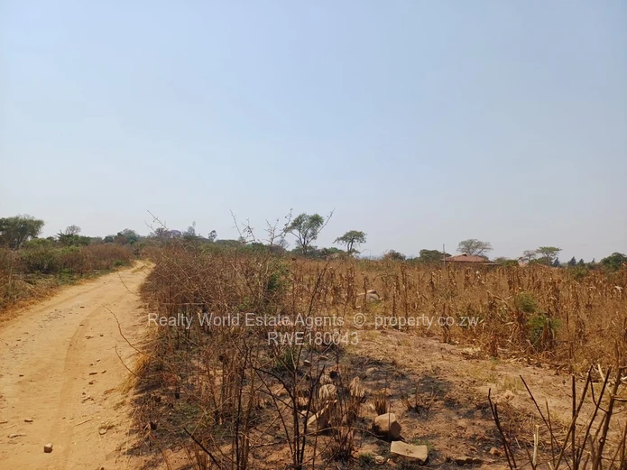 Rydale Ridge Stand For Sale 