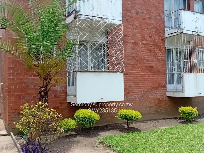 Bachelor Flat for rent