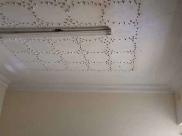 Shop & Retail Property