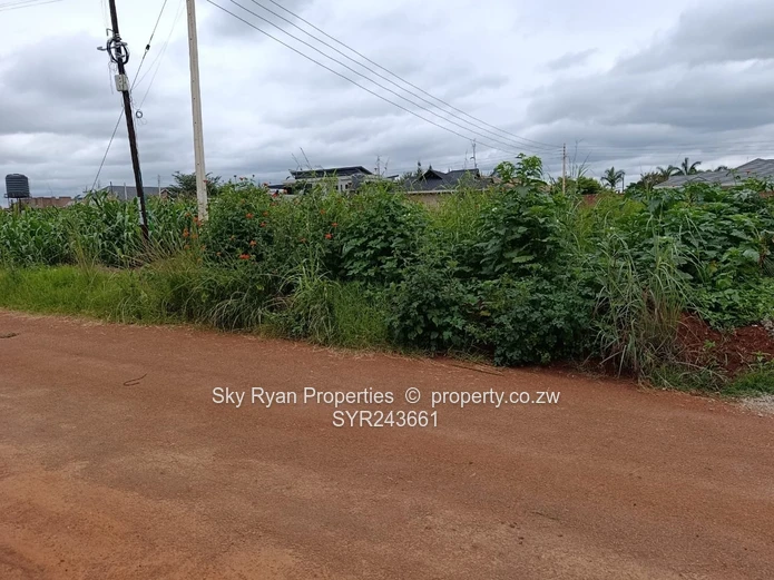 Mt Pleasant Heights Stand For Sale