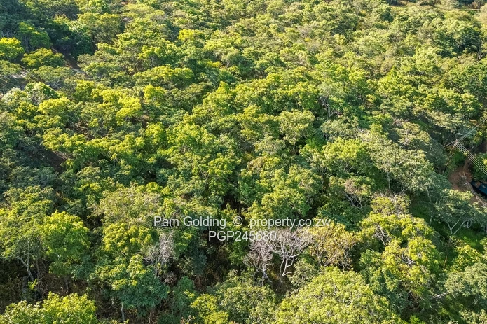 Prime stand with stunning views! Your home awaits. (Sole Mandate)