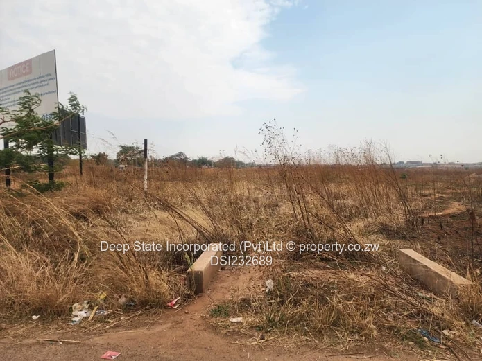 Glaudina stand for sale. 