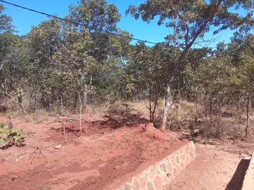 Farm & Agricultural Land