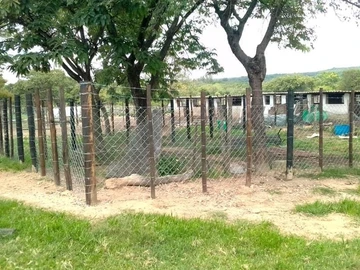 Farm & Agricultural Land