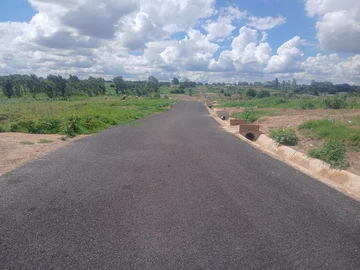 Stands & Residential Land