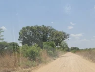 Farm & Agricultural Land