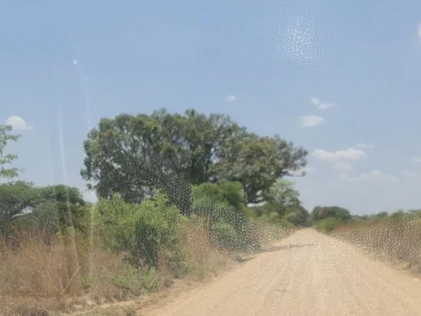 Farm & Agricultural Land