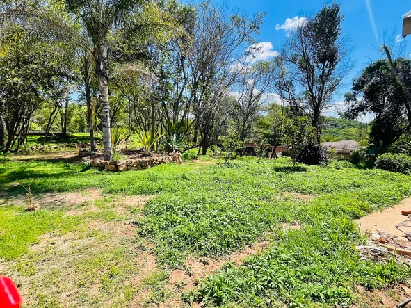 Stands & Residential Land