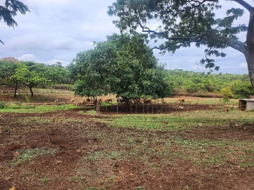 Farm & Agricultural Land