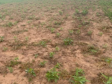 Farm & Agricultural Land