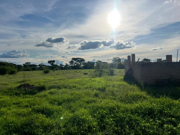 Farm & Agricultural Land