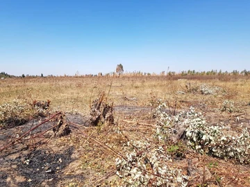 Commercial & Industrial Land