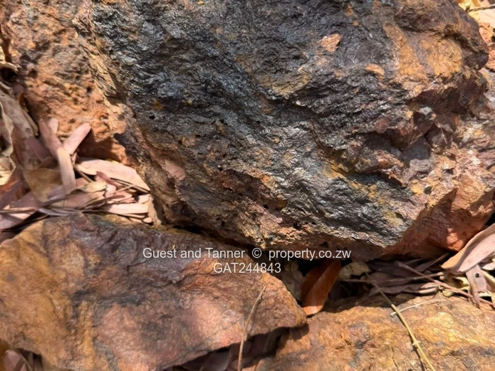 Makaha Gold Mine Opportunity