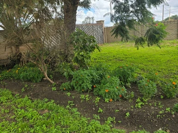 Commercial & Industrial Land