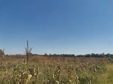 Commercial & Industrial Land