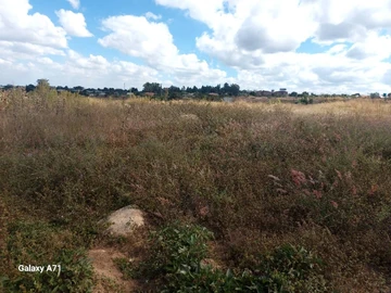 Commercial & Industrial Land