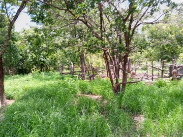 Farm & Agricultural Land
