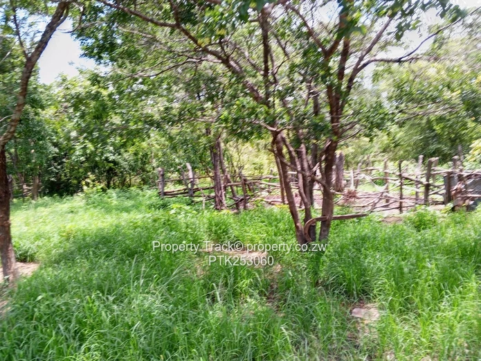 Agro-residential plot!