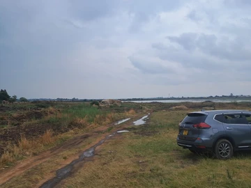 Farm & Agricultural Land