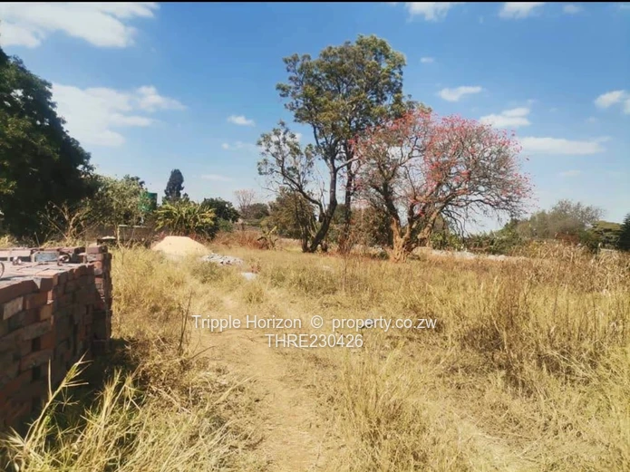 Stand for sale (Sole Mandate)