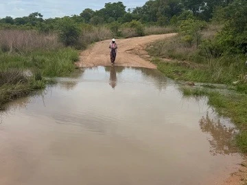 Farm & Agricultural Land