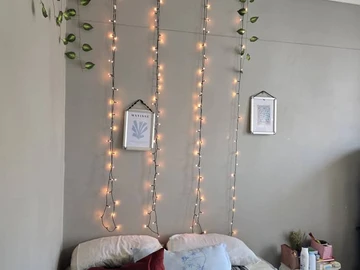 2 Bedroom Flat & Apartment