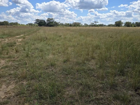 Farm & Agricultural Land
