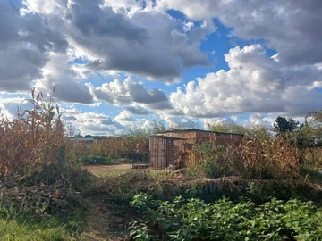 Commercial & Industrial Land