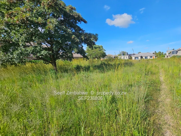 Investment opportunity in Arlington! (Sole Mandate)