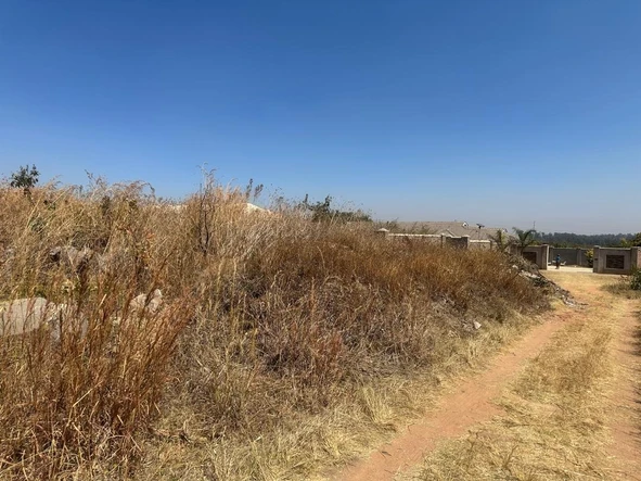 Stands & Residential Land