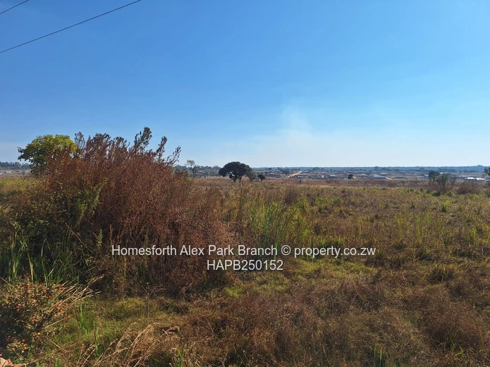 Longlands Industrial Park Stand On Sale