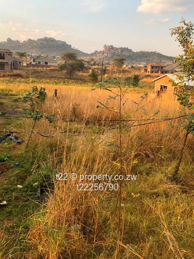 Sawara hills stands for sale with Title Deeds!!!