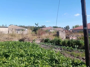 Land