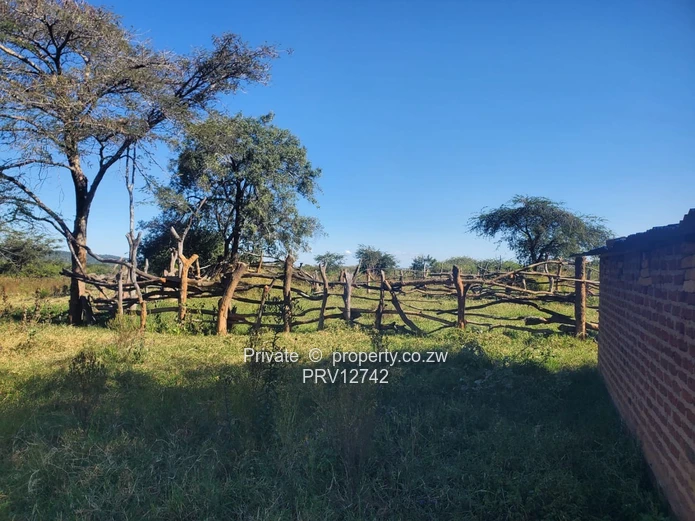 2 options available is a 5ha MARONDERA FARM PLOTS  FOR SALE and 2.Nyazura Farm 51ha size (Sole Mandate)