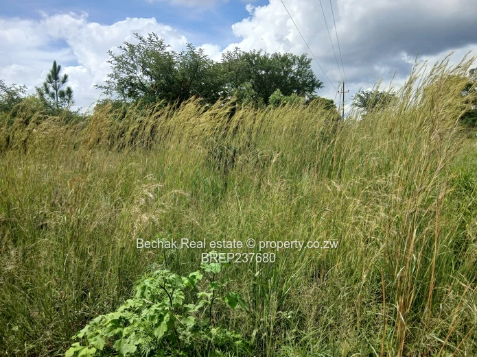 Stand for sale in Burnside 