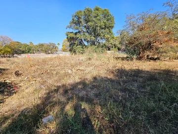 Land
