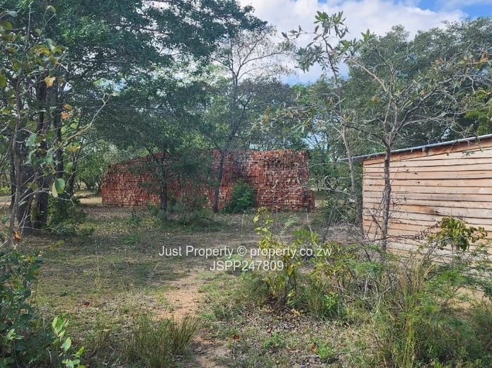 Wedza Primary and Secondary School stand