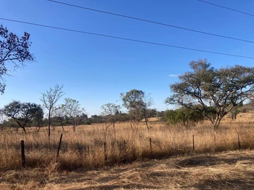 Stands & Residential Land