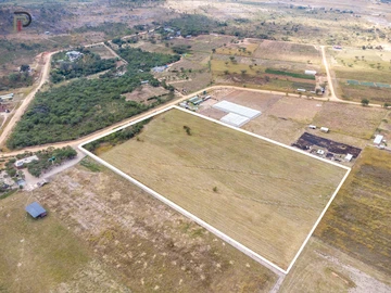 Farm & Agricultural Land