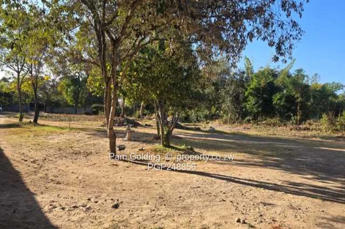 Treed 2800m² Prospect Stand — Subdivision Potential (Sole Mandate)