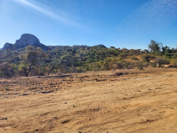 Farm & Agricultural Land