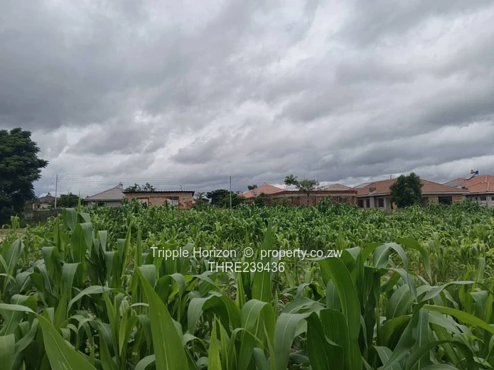 Ridle ridge park stand for sale 1000 square metres 