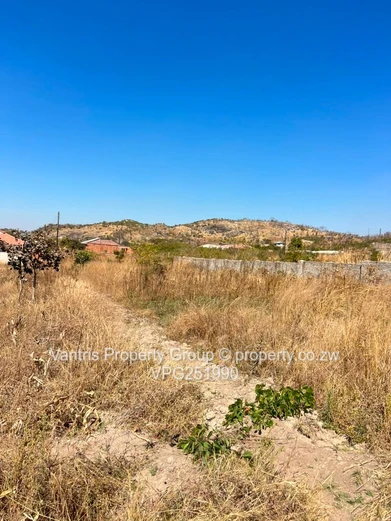 Palm village stands for sale !!!!