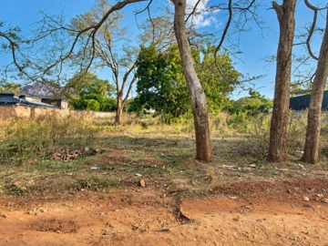 Stands & Residential Land